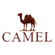camel金驼专卖店